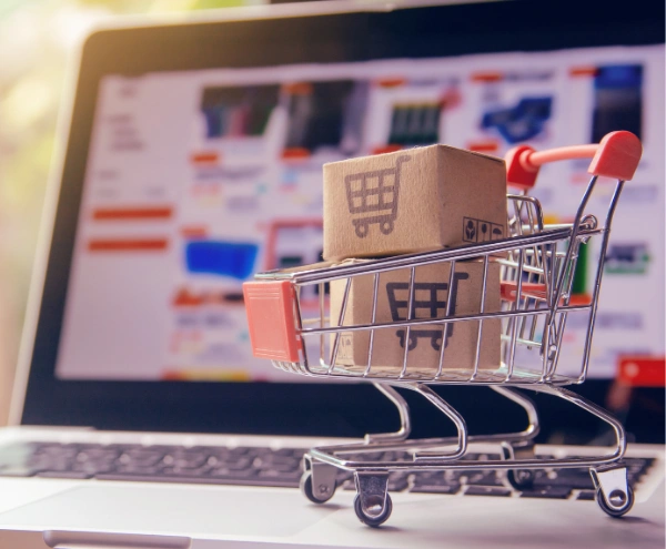 Magento Developers Solution Preview