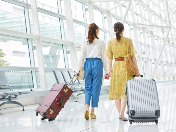 Travel software development by Softfix Technologies