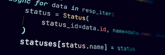 Native iOS application interface